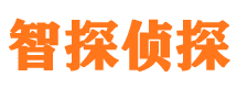 北塔寻人公司